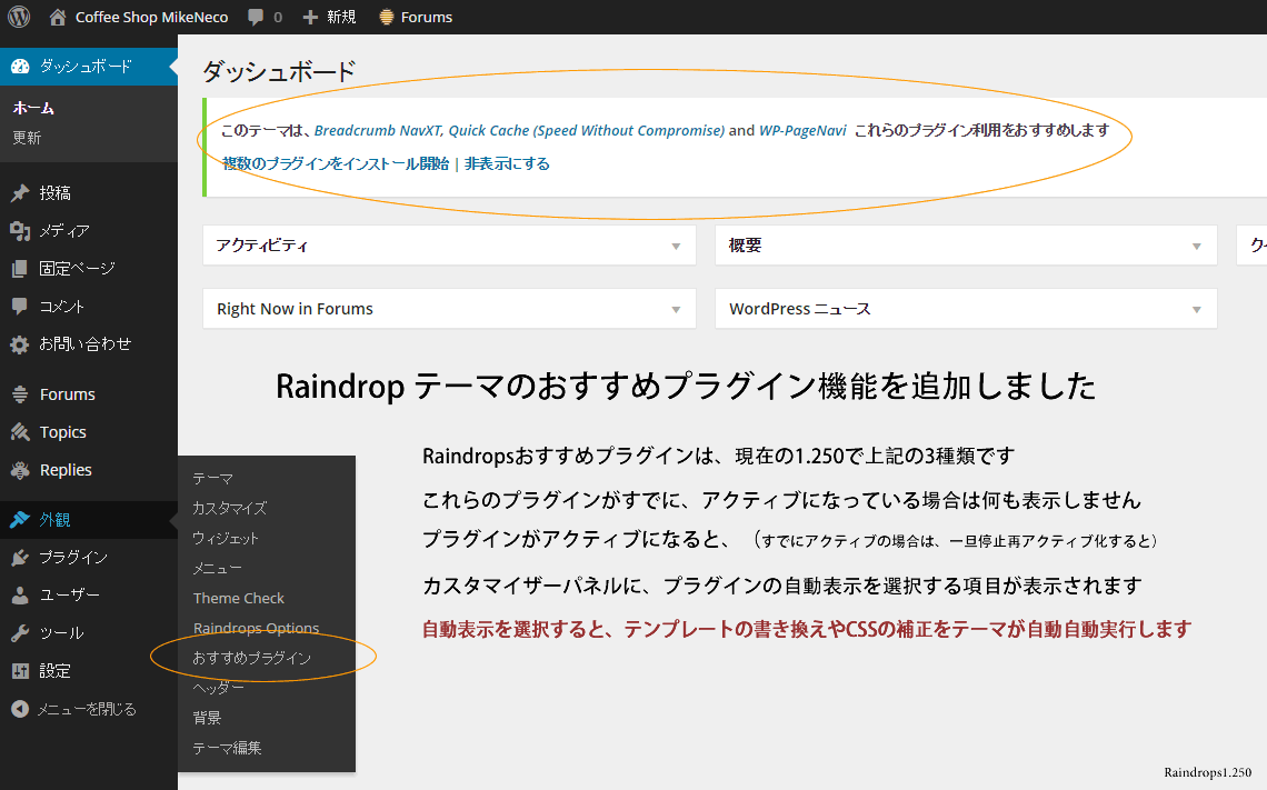 raindrops-1250-recommend-plugins